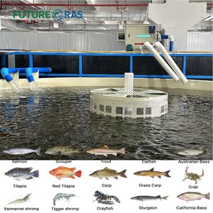 Système d'aquaculture entièrement automatique basé sur l'IA, filtre intelligent Ras, élevage de poissons et de crevettes, configuration complète pour la production de saumon en eau salée - Product Image 1