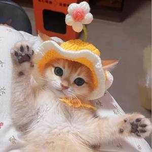หมวกสัตว์เลี้ยงถักโครเชต์ลายดอกไม้โลลิต้าพร้อมปีกหยักสำหรับแมวและสุนัข - Product Image 2