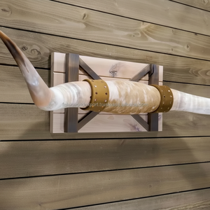 Toro cuernos pequeños pulido Steer OX Longhorn montado par para arte de pared decoración de pared occidental ágata hogar Hotel Oficina Decoración - Product Image 1