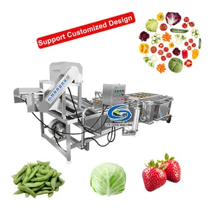 Endüstriyel PLC kuru üzüm meyve temizleme hattı fasulye filizi lahana sebze yıkama ve kurutma makinesi