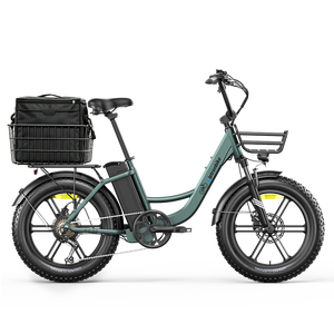 Fatbike cadre bas 20 pouces vélos électriques 250W 55Nm 48V13Ah frein disque hydraulique IP54 déplacement urbain gros stock - Product Image 1