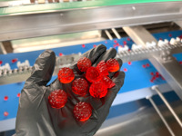 Machine à fabriquer des bonbons gélifiés M40 Mini automatique, bonbons gélifiés à garniture centrale, bonbons gélifiés à la pectine, bonbons gélifiés à la gélatine