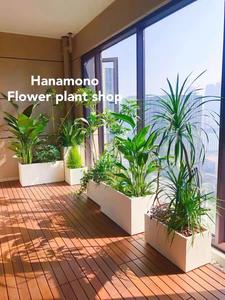 Grand pot <span class=keywords><strong>de</strong></span> <span class=keywords><strong>fleurs</strong></span> <span class=keywords><strong>rectangulaire</strong></span> <span class=keywords><strong>en</strong></span> <span class=keywords><strong>fibre</strong></span> <span class=keywords><strong>de</strong></span> <span class=keywords><strong>verre</strong></span>, jardinière d'extérieur <span class=keywords><strong>en</strong></span> ciment, pot <span class=keywords><strong>de</strong></span> <span class=keywords><strong>fleurs</strong></span> irrégulier <span class=keywords><strong>en</strong></span> acier inoxydable pour jardinière - Product Image 5