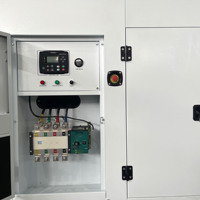 Générateur diesel silencieux de qualité supérieure CITY LION à châssis ouvert 300 kVA 240 kW avec ATS automatique, télécommande, étanche, onduleur 60 Hz 230 V