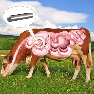 Aimant pour bovins Alnico5 pour soins vétérinaires, aimant pour l'estomac des bovins recouvert de métal - Product Image 1