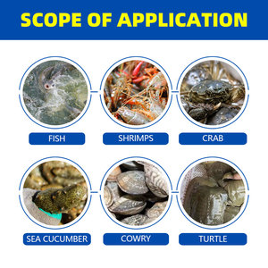 Probióticos EM para Acuicultura, Microbios <span class=keywords><strong>de</strong></span> Grado Alimenticio para Acuicultura en Agua <span class=keywords><strong>de</strong></span> Mar, Promueven el Crecimiento Saludable, Nutrición, Residuos Orgánicos - Product Image 6