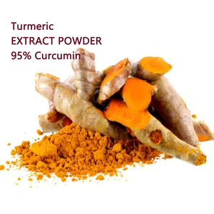 مستخلص مسحوق كركما لونجا رهيزوم مستخلص مسحوق البكتمين الكركمين - Product Image 1