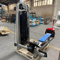 A021 Machine d'extension dorsale Appareil de presse pour jambes Chine Équipement commercial de gymnastique/Fitness et musculation Équipement de fitness