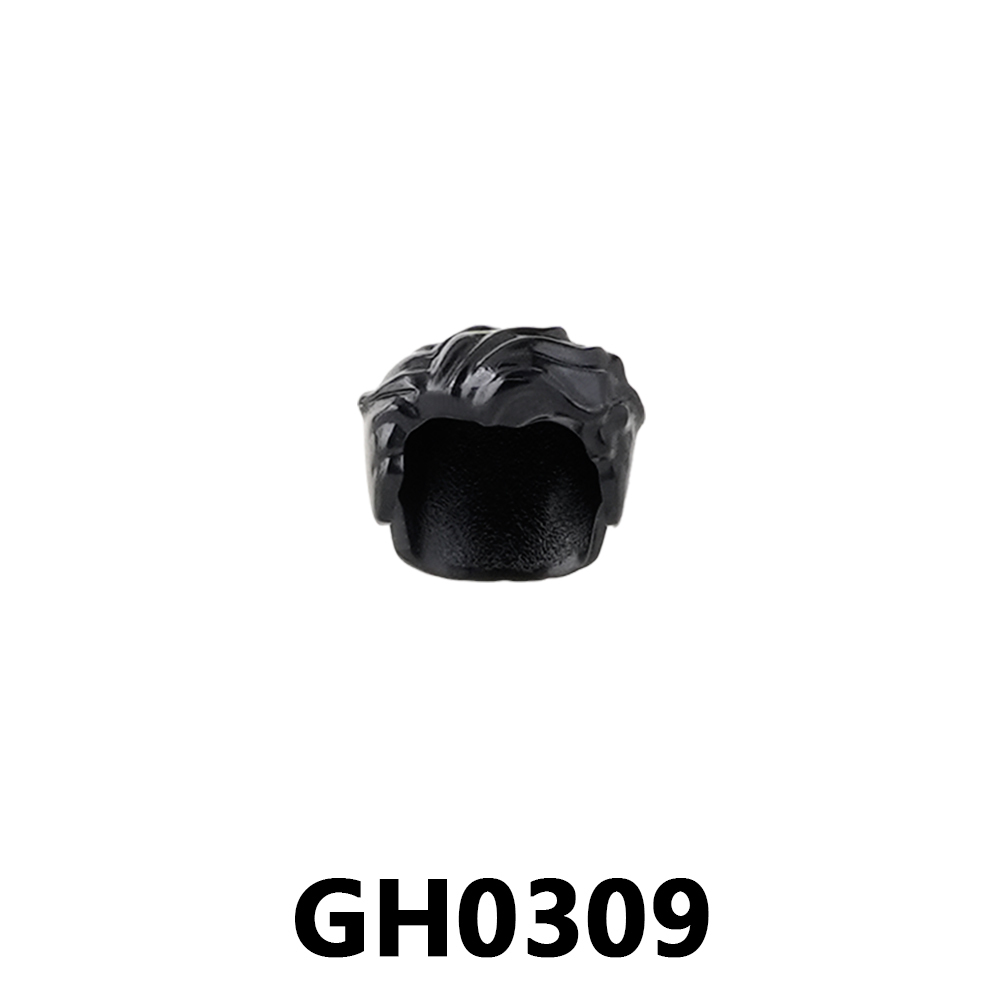 GH0309