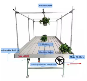 โต๊ะเรือนกระจกไฮโดรโปนิกส์หนึ่ง-หนึ่งเรือนกระจกเติบโตและการไหลม้านั่งกลิ้งสำหรับปลูกพืช - Product Image 3