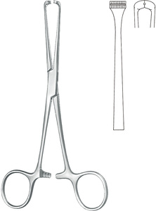 Steinmann คีมหนีบยึดเส้นเอ็น16ซม. ทำจากสเตนเลสสตีลใช้ในการผ่าตัดทางการแพทย์ชาวเยอรมันคุณภาพสูง - Product Image 3