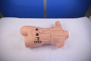 Modelo de entrenamiento médico humano sutura quirúrgica y vendaje maniquí de enfermería - Product Image 2