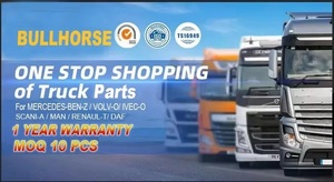Nuevo Conjunto de Embrague BULLHORSE para Eurotruck de Uso Pesado, 430 mm, OEM 3400700378 500059774 500059780, Repuesto Automotriz - Product Image 5