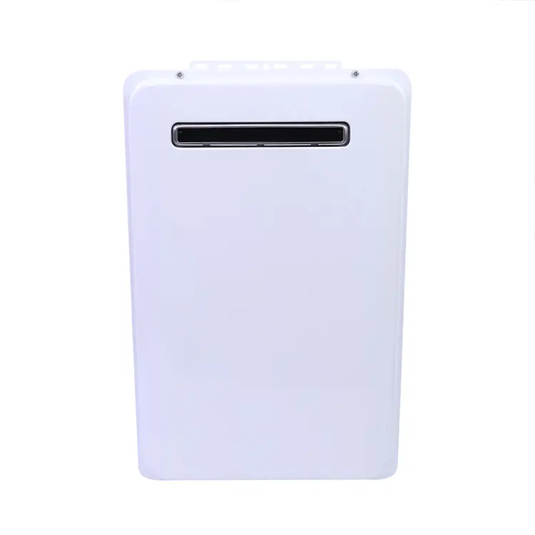 China Golden Supplier Wholesale Price Lpg Ng Instant Gas Geyser Boiler 65Kw 22L Tankless Gas Water Heater