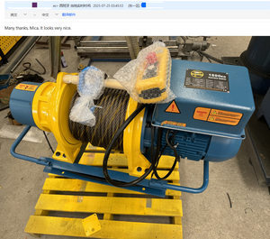 ALLMAN IP55 Elétrico De Cabo De Aco Cabrestantes Eléctricos <span class=keywords><strong>Treuils</strong></span> Electriques 1000KG 220V/380V 3P - Product Image 5