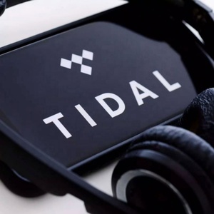 บัญชีสมาชิก Tidal Premium Tidal Music Tidal Hifi Plus ระยะเวลา 6 เดือน - Product Image 2