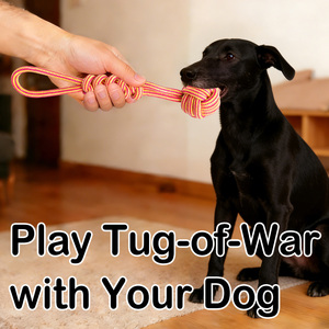 Mainan Tali Simpul Interaktif Ramah Lingkungan Tahan Lama, Set 7 Buah, Mainan Tali Katun untuk Hewan Peliharaan Kecil dan Besar - Product Image 2