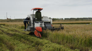 Chenilles en caoutchouc légères/lourdes, transmission finale, pour excavatrice/machines agricoles, <span class=keywords><strong>prix</strong></span> bas, haute qualité, vente chaude - Product Image 5