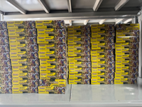 Cartes Pokémon Originales Japonaises Écologiques et Durables - PTCG - Sv5K Cosmic Judgment - Sv5k Wildbolt Storm Booster Pack