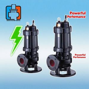 ปั๊มน้ำเสียแบบจุ่มใต้น้ำ WQ ยกสูง สำหรับระบายน้ำทางการเกษตร - Product Image 2
