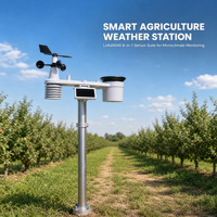 Station météo ultrasonique LoRaWAN 8-en-1 pour la température, l'humidité, le vent, la pression, les précipitations, l'éclairement et le point de rosée pour l'agriculture