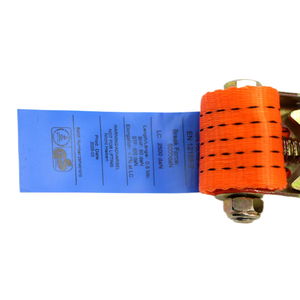 Offre Spéciale LOGO personnalisable 5 tonnes <span class=keywords><strong>12M</strong></span> sangles d'arrimage à <span class=keywords><strong>cliquet</strong></span> robustes avec boucle à <span class=keywords><strong>cliquet</strong></span> Ergo GS/TUV EN Standard - Product Image 5