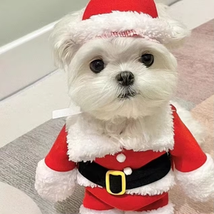 मछली राजकुमारी xl क्रिसमस सांता क्लॉज़ खड़े कुत्ते पोशाक क्लासिक शैली कुत्ते कोट - Product Image 2