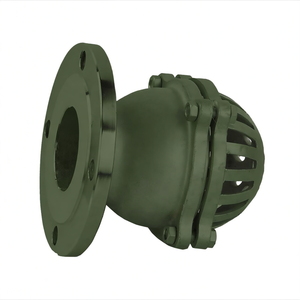 Vanne hydraulique à pédale en fonte avec filtre, vanne à pied pour pompe à eau - Product Image 4