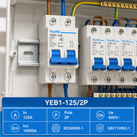 125A 2P Miniature Circuit Breaker MCB DIN Rail untuk Kotak Sambungan Rumah Kotak Distribusi PV Surya CE CCC ODM Pabrik Kustom YUYE