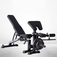 Banc de musculation multifonctionnel réglable, chaise de pasteur, équipement d'exercice pour hommes, banc pour sit-ups et press de poitrine