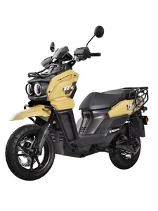 Moto personnalisée haute performance pour adultes – Options 3000W, 2000W, 1500W – Scooter 60V avec frein à disque robuste, conçu pour adultes - Product Image 4