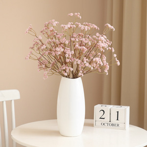 Handmade Mùa Thu Màu Dài Chi Nhánh Gypsophila Mô Phỏng Đám Cưới Nhà Mô Hình Phòng Trang Trí Nhân Tạo Hoa Bán Buôn Phù Hợp Với - Product Image 1