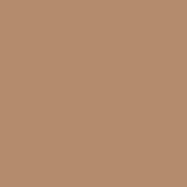 สีน้ำตาลอมเทาอ่อน