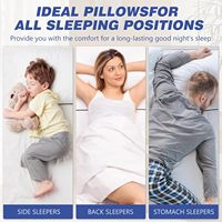 Collection d'hôtels Lot de 2 oreillers de lit en microfibre super doux refroidissant les dormeurs latéraux de taille standard pour le confort des dormeurs.