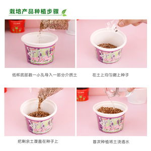 Mini Juego de Plantas Verdes de Escritorio para Niños, Maceta Pequeña para Plantas de Interior, Venta al por Mayor, la Linda Maceta Pequeña - Product Image 2