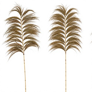 Relleno Decorativo Ecológico Hecho a Mano con Hierba Seca Natural de Rayung, Estilo Pampas, para Jarrones, Decoración de Bodas, Fiestas y Hogar - Product Image 1