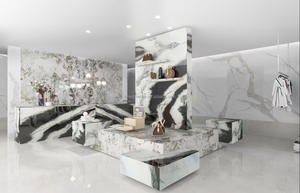 Losas de mármol Dalmata de lujo, diseño de sala de estar, Panda blanco, cebra, Brasil - Product Image 4