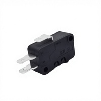 Micro-interrupteur en plastique SPDT 16A 250VAC IP65 avec durée de vie de 100 000 cycles et température de fonctionnement de -25°C à 150°C pour usage domestique