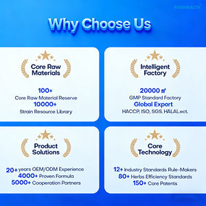 Pilules de perte de poids pour hommes, détoxification plus rapide et remodelage corporel, réduction de la cellulite, sûres et naturelles avec prébiotiques et probiotiques - Product Image 2