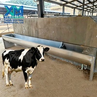 Abreuvoir en acier inoxydable pour bétail, veau, vache, mouton, cheval, avec pieds