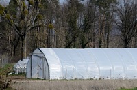 Grande serre agricole à dôme/à arceau de style Venlo avec couverture en film PE monocouche et structure en acier galvanisé à chaud