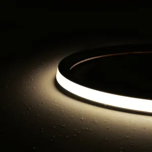 Flexível Silicone Sleeve Tube Strip light Cor personalizável Gama completa de temperaturas de cor neon luz led strip light