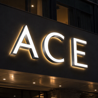 Enseigne lumineuse 3D personnalisée en lettres LED, acrylique et acier inoxydable, alphabet et chiffres, logo autoportant IP65 pour bar, hôtel, centre commercial, événement