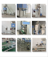Machine de remplissage de poudre de détergent 25-50kg Machine d'emballage d'ensachage de poudre de lavage de détergent Production d'emballage de rendement énergétique