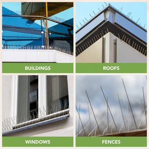 Púas Antipájaros con Base de Plástico, Púas Repelentes de Aves, Anti Palomas, 5 Puntas, Proveedores - Product Image 4