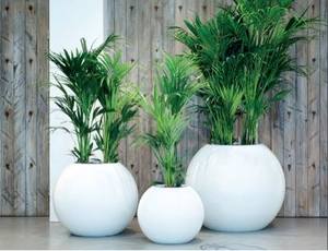 Vasi per Piante a Forma di Uovo Leggeri e Bianchi in Stile Europeo, in Fibra di Vetro, per Giardini, Hotel e Ville, Prezzo di Fabbrica - Product Image 4