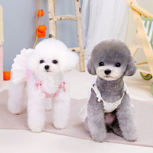 Nuevo Vestido para Gatos, Ropa para Mascotas, Vestido de Tul con Encaje para Perros, Ropa Floral para Perros de Diseño - Product Image 3
