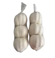 HACCPとHALAL証明書を使用した中国の新鮮なニンニク真空窒素と瓶詰めの皮をむいたニンニク
