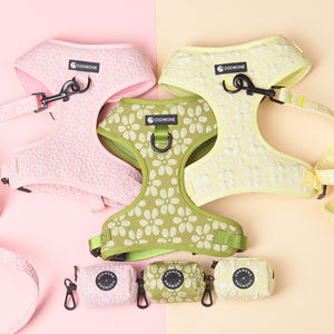 Arnés para Perro con Diseño de Corazón y Flor, Correa para Mascotas, Collar y Arnés para Perro, Accesorios para Perros 2024 - Product Image 1