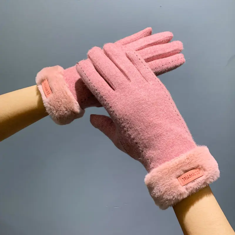 Guanti delle donne di modo del Touch Screen dei guanti delle signore sveglie calde all'aperto della lana di inverno all'ingrosso della fabbrica di BSCI